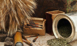 Suspendisse arcu nisl